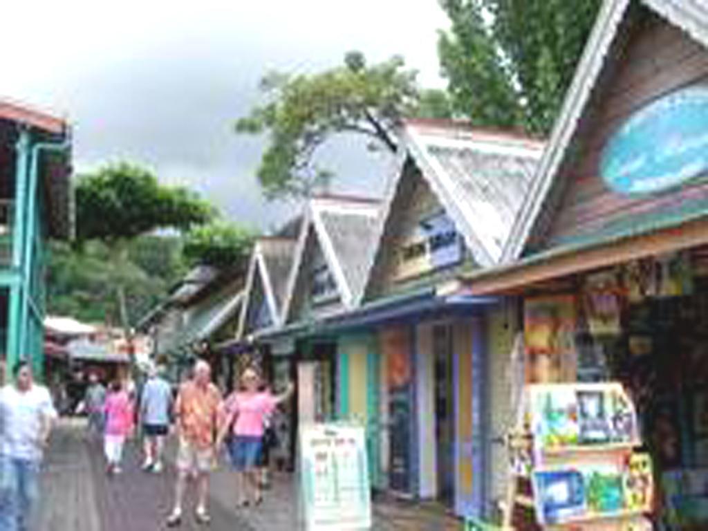 Sky Castles Apt J3 Ocho Rios Dış mekan fotoğraf